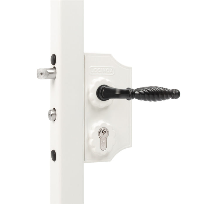 ORNAMENTAL LOCK - Large surface mounted ornamental gate lock
